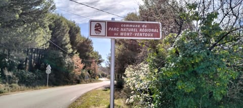 Spring, Day, Neighbourhood, Natural landscape, Street view