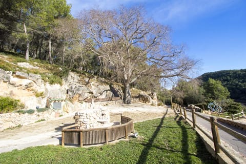 Patio, Garden, Garden view