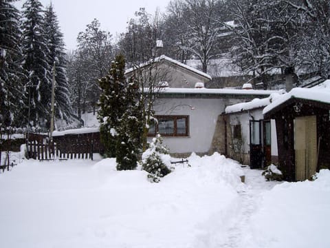 Property building, Facade/entrance, Winter, Garden