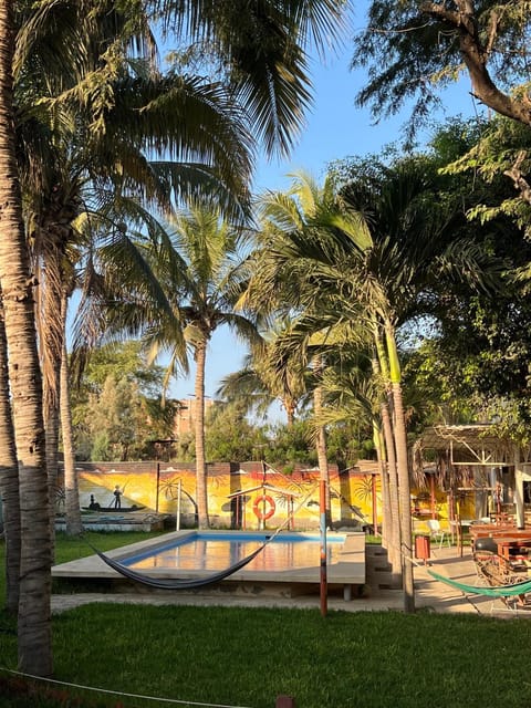 Garden, Garden view, Pool view