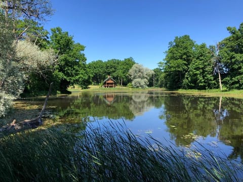 Lake view