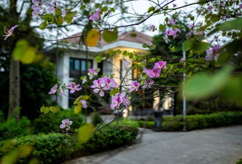 NCC Garden Villas - NCC Hotel Hotel in Laos