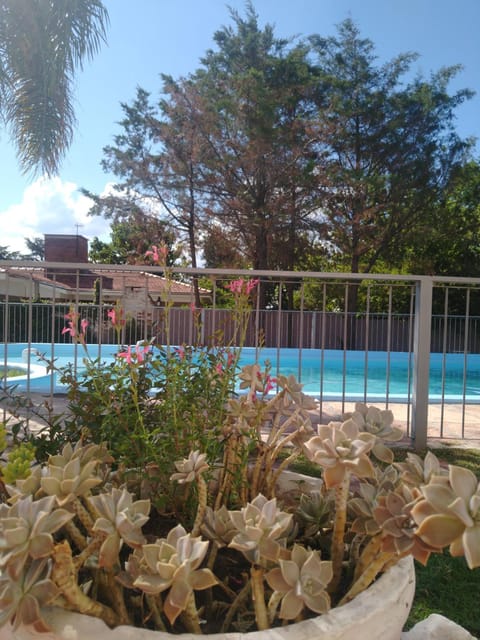 Garden, Pool view, Swimming pool