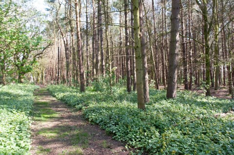 Hubbard's Luxury Bed and Breakfast Bed and Breakfast in North Norfolk District