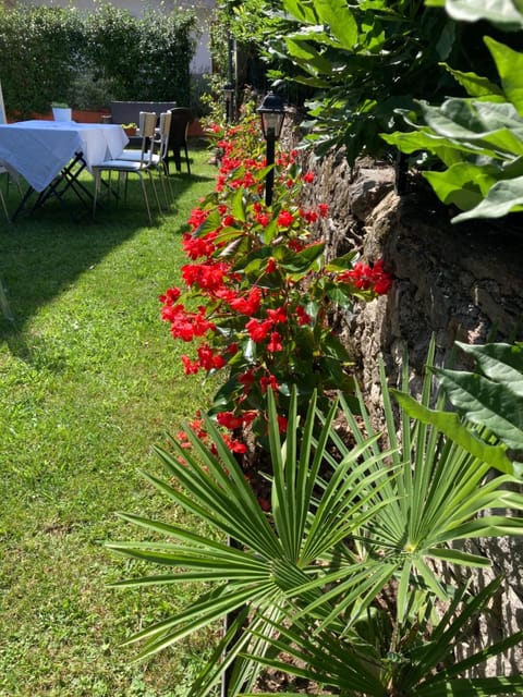 Patio, Garden