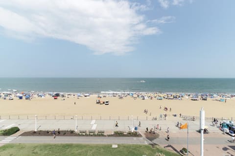 Natural landscape, Beach, Sea view, Location