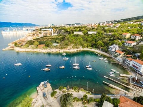 Bird's eye view, Beach, Sea view