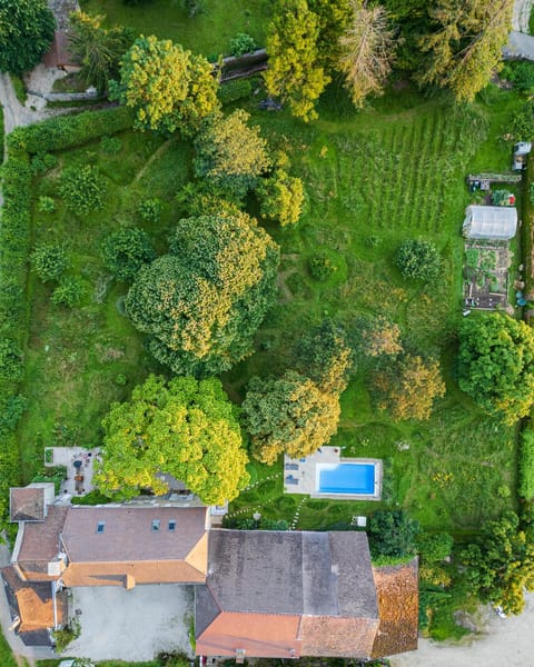 Property building, Garden, Garden view, Swimming pool