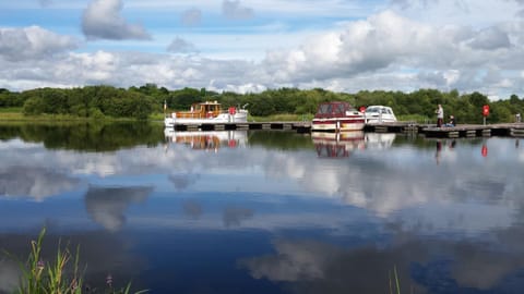 Neighbourhood, Natural landscape