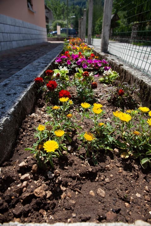 Garden, Garden view