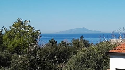 Il Giardino dei Gigli Condo in Piano di Sorrento