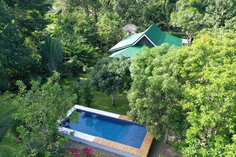 Villa Mango - Private Pool - 12px Bed and Breakfast in Cahuita