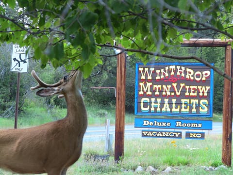 Winthrop Mountain View Chalets Chalet in Winthrop