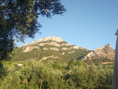 Finca los Prados Country House in Sierra de Cazorla Comarca