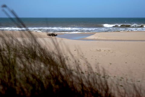 Biodiversidad Nature lodge in Rocha Department, Uruguay