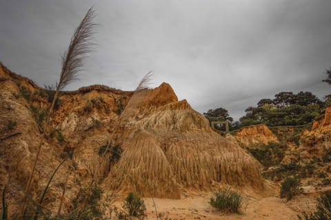 Biodiversidad Nature lodge in Rocha Department, Uruguay