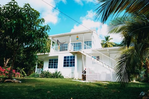 Posada Mango Tree Inn in San Andrés and Providencia