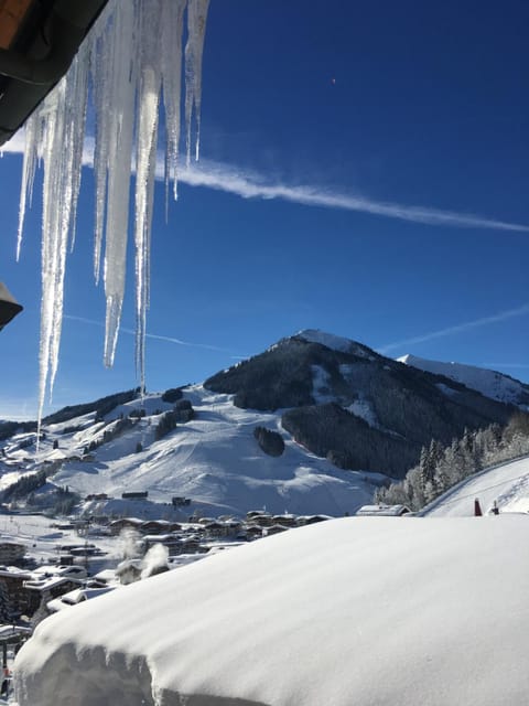 Haus Sonnenschein Apartment in Salzburgerland