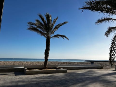 Natural landscape, Beach, Sea view