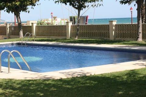 Garden, Pool view, Swimming pool