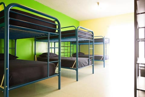 bunk bed