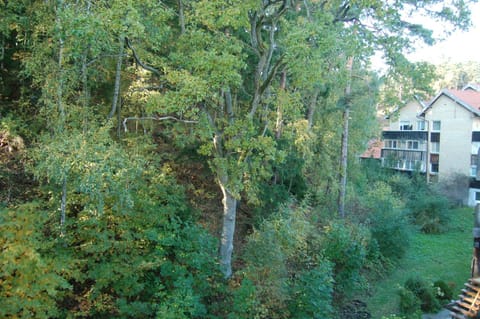 Natural landscape, View (from property/room)