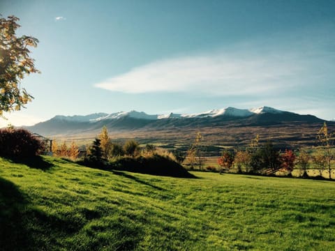 Nearby landmark, Spring, Day, Mountain view