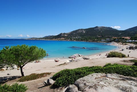 Mare appart avec jardin et bbq vue mer et montagne plage et port à 2 pas Condo in Calvi