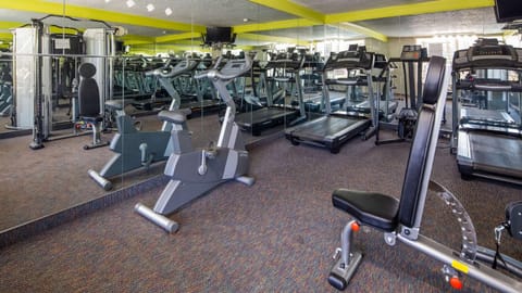 Activities, Fitness centre/facilities, On site