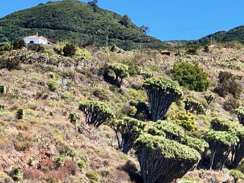 Natural landscape, Mountain view