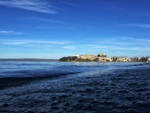 Natural landscape, Beach, On site