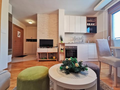 Apartments Egoiste - Centar Condo in Zlatibor