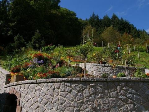 Garden, Garden view