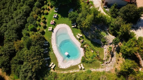 Bird's eye view, Pool view, Swimming pool