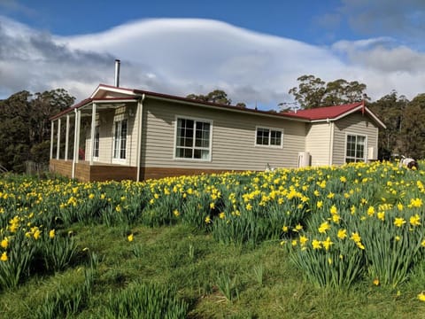 Mountain Blue Guest House Casa in Tasmania