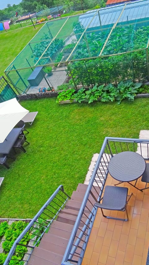 Garden, Balcony/Terrace