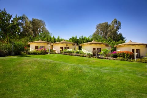 View (from property/room), Photo of the whole room, Floor plan