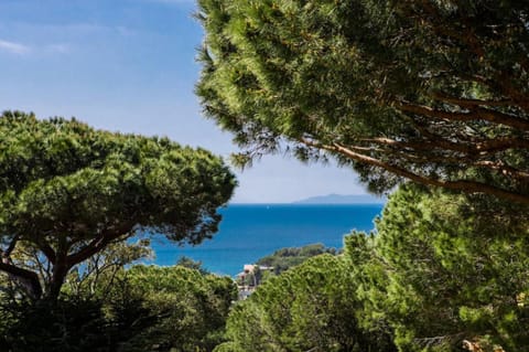 Patio, Balcony/Terrace, Sea view, Sea view