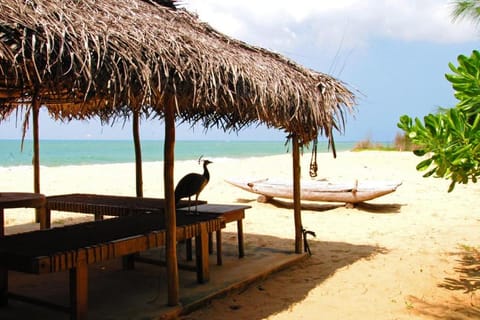 Khomba Beach House Villa in Sri Lanka