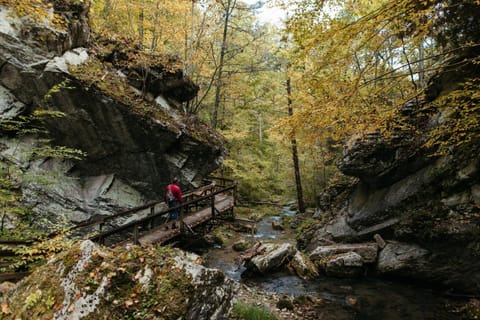 Hiking