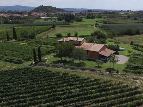 Bird's eye view, Garden view