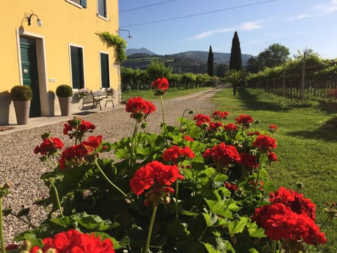 Facade/entrance, Garden