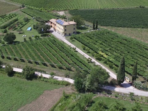 Bird's eye view, Garden view