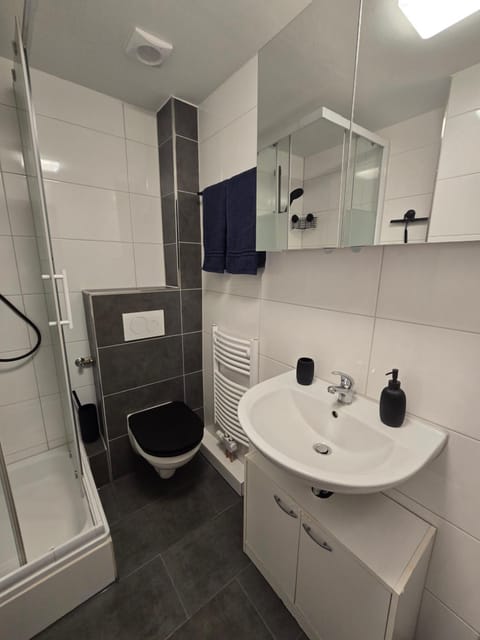 Toilet, Bathroom, towels