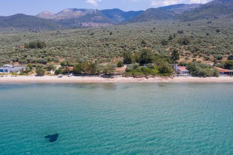 Front Beach House House in Thasos