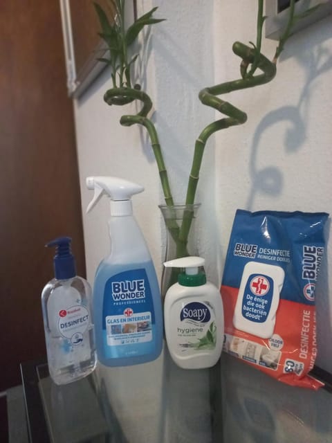 Schuttershof Heerlen - Adults Only Bed and Breakfast in Limburg (province)