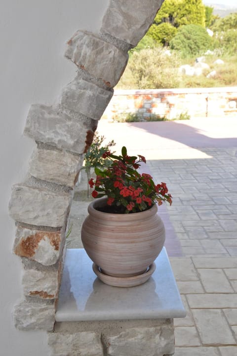 Sunshine Bed and Breakfast in Naxos