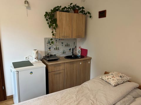 Bed, Kitchen or kitchenette, Photo of the whole room, Bedroom, stove