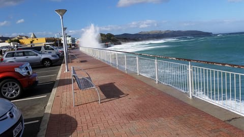 Rosemount B&B by the Sea St Clair Bed and Breakfast in Dunedin