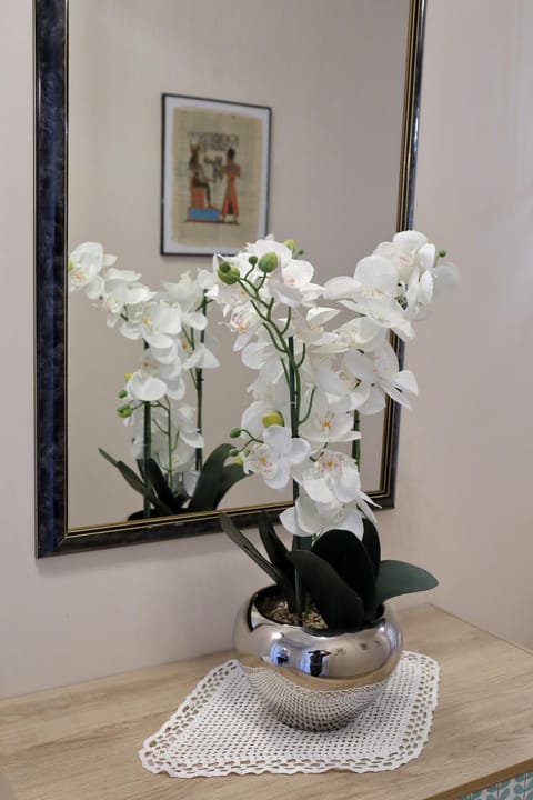 Aqua Cabana Apartment in Šibenik-Knin County, Croatia